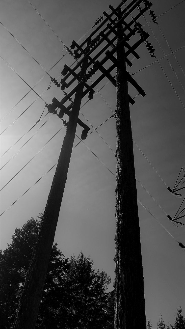 Portland Oregon Transmission Line